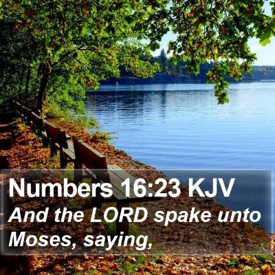 Numbers 16:23 KJV Bible Verse Image