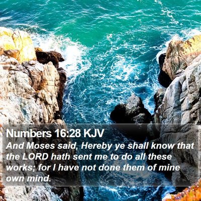 Numbers 16:28 KJV Bible Verse Image