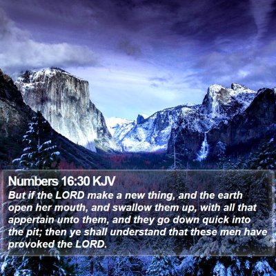 Numbers 16:30 KJV Bible Verse Image
