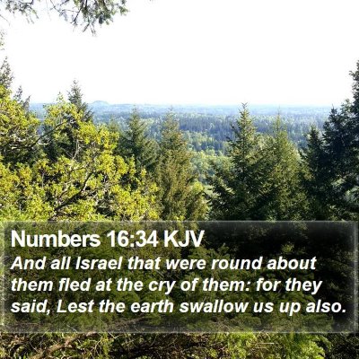 Numbers 16:34 KJV Bible Verse Image