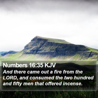 Numbers 16:35 KJV Bible Verse Image