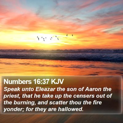 Numbers 16:37 KJV Bible Verse Image