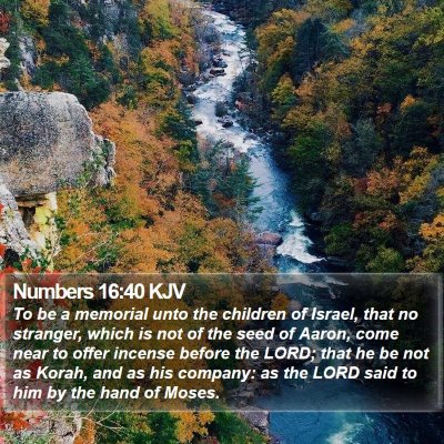 Numbers 16:40 KJV Bible Verse Image