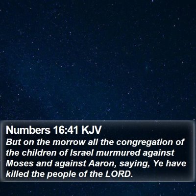 Numbers 16:41 KJV Bible Verse Image