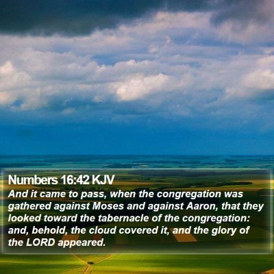 Numbers 16:42 KJV Bible Verse Image