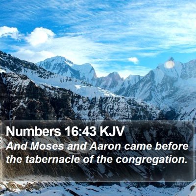 Numbers 16:43 KJV Bible Verse Image