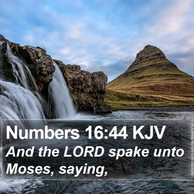 Numbers 16:44 KJV Bible Verse Image