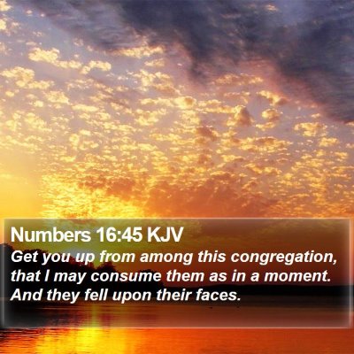 Numbers 16:45 KJV Bible Verse Image