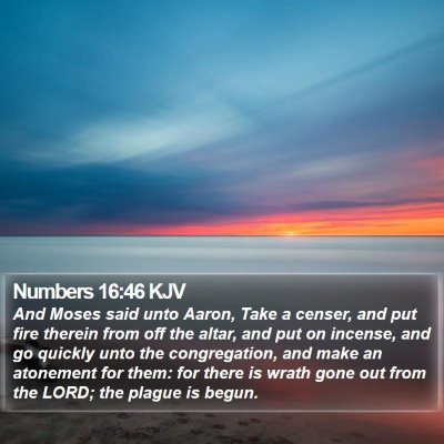 Numbers 16:46 KJV Bible Verse Image