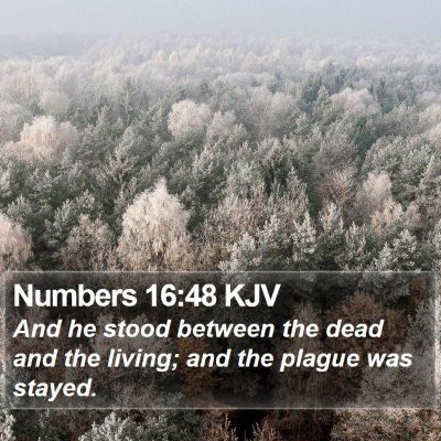 Numbers 16:48 KJV Bible Verse Image