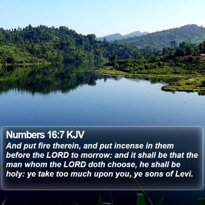 Numbers 16:7 KJV Bible Verse Image