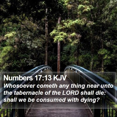 Numbers 17:13 KJV Bible Verse Image
