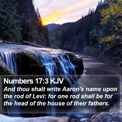 Numbers 17:3 KJV Bible Verse Image