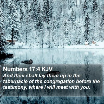 Numbers 17:4 KJV Bible Verse Image