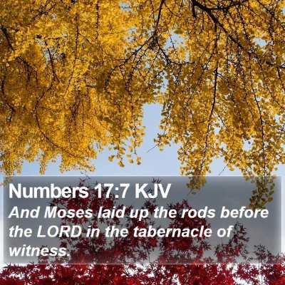 Numbers 17:7 KJV Bible Verse Image