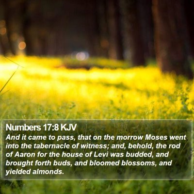 Numbers 17:8 KJV Bible Verse Image