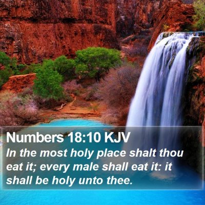 Numbers 18:10 KJV Bible Verse Image