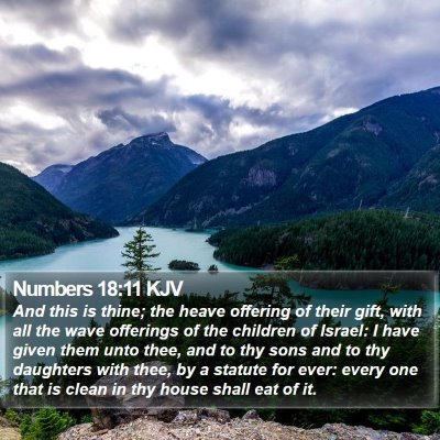 Numbers 18:11 KJV Bible Verse Image