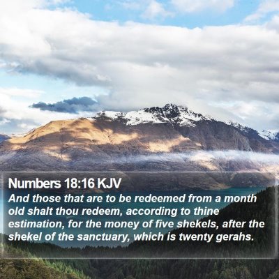 Numbers 18:16 KJV Bible Verse Image
