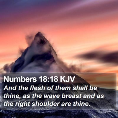 Numbers 18:18 KJV Bible Verse Image