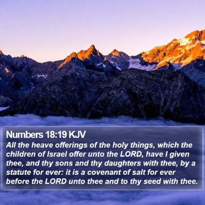 Numbers 18:19 KJV Bible Verse Image