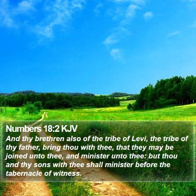 Numbers 18:2 KJV Bible Verse Image