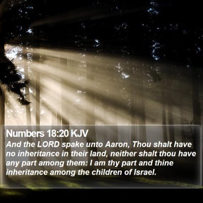 Numbers 18:20 KJV Bible Verse Image