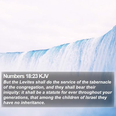 Numbers 18:23 KJV Bible Verse Image