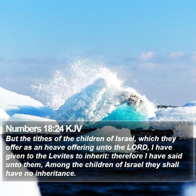 Numbers 18:24 KJV Bible Verse Image