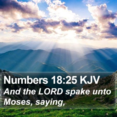 Numbers 18:25 KJV Bible Verse Image