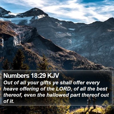 Numbers 18:29 KJV Bible Verse Image