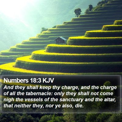 Numbers 18:3 KJV Bible Verse Image