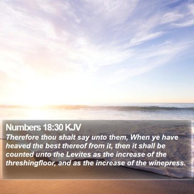 Numbers 18:30 KJV Bible Verse Image