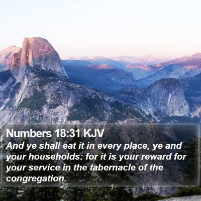 Numbers 18:31 KJV Bible Verse Image