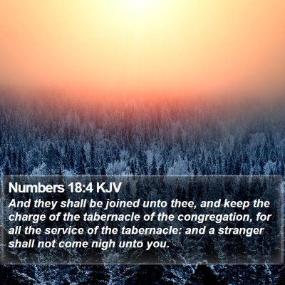 Numbers 18:4 KJV Bible Verse Image