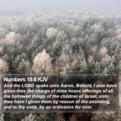Numbers 18:8 KJV Bible Verse Image