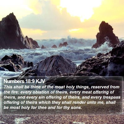 Numbers 18:9 KJV Bible Verse Image