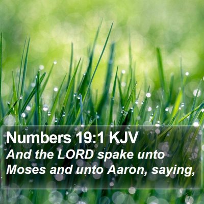Numbers 19:1 KJV Bible Verse Image