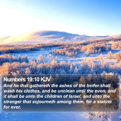 Numbers 19:10 KJV Bible Verse Image
