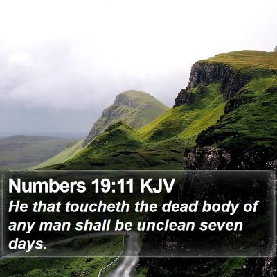 Numbers 19:11 KJV Bible Verse Image