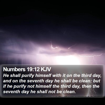 Numbers 19:12 KJV Bible Verse Image
