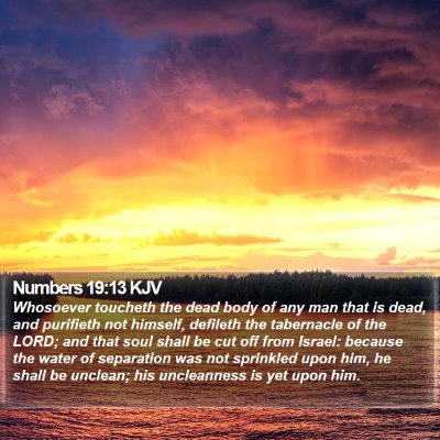 Numbers 19:13 KJV Bible Verse Image