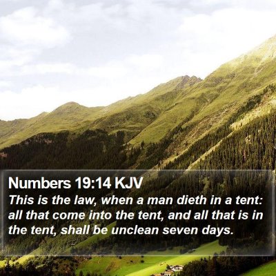 Numbers 19:14 KJV Bible Verse Image
