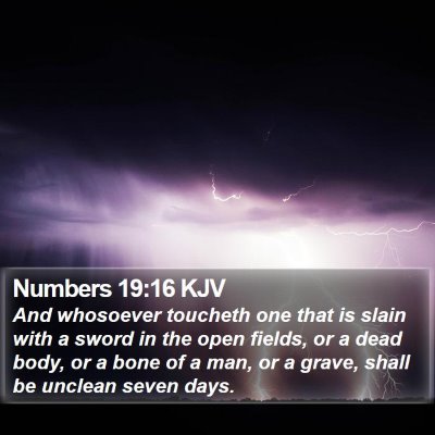 Numbers 19:16 KJV Bible Verse Image