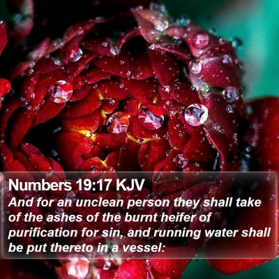 Numbers 19:17 KJV Bible Verse Image