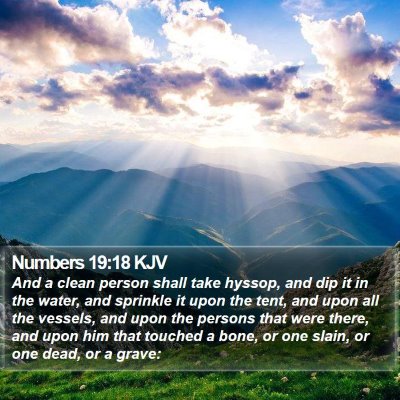 Numbers 19:18 KJV Bible Verse Image