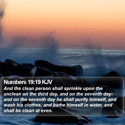 Numbers 19:19 KJV Bible Verse Image