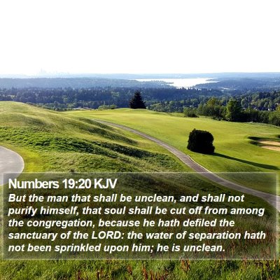 Numbers 19:20 KJV Bible Verse Image