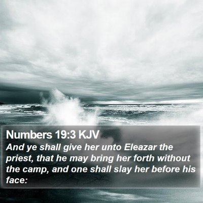 Numbers 19:3 KJV Bible Verse Image