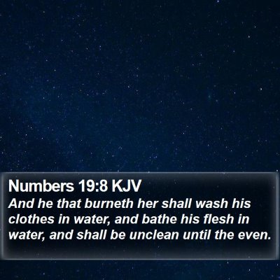 Numbers 19:8 KJV Bible Verse Image